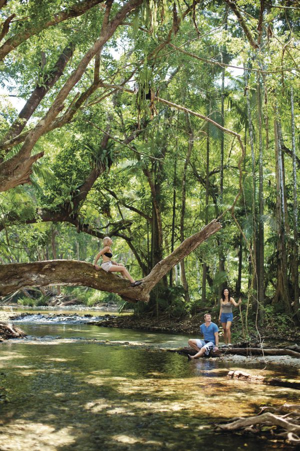 Daintree