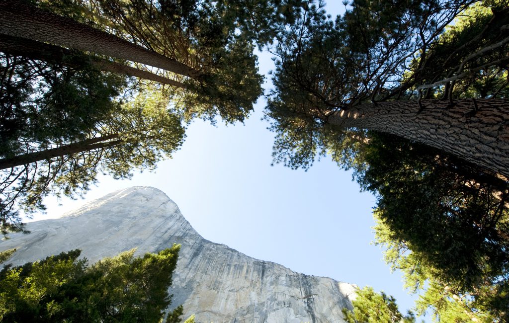High Sierra, Yosemite National Park, El Capitan
