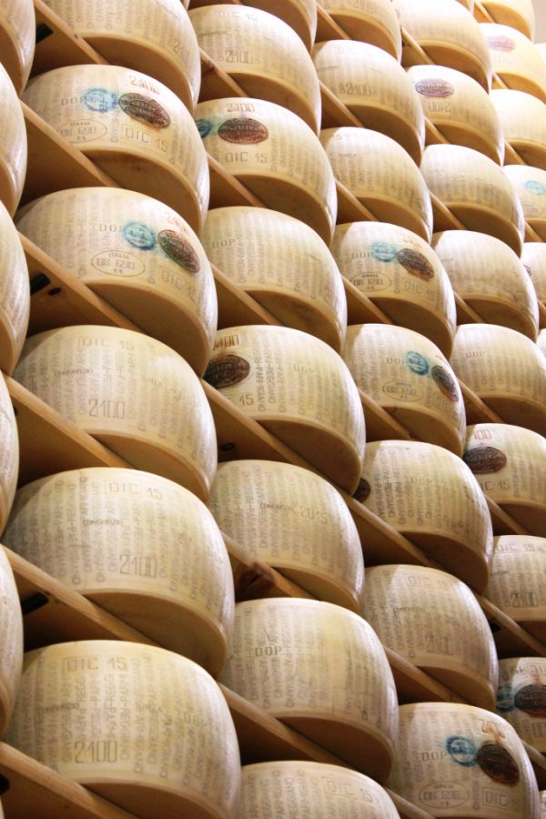 行ってきました！『ひと味違ったイタリア旅行』その7＜パルマのチーズ