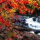 【四季折々 魅力のカナダ】 カナダ秋のおすすめ観光スポット